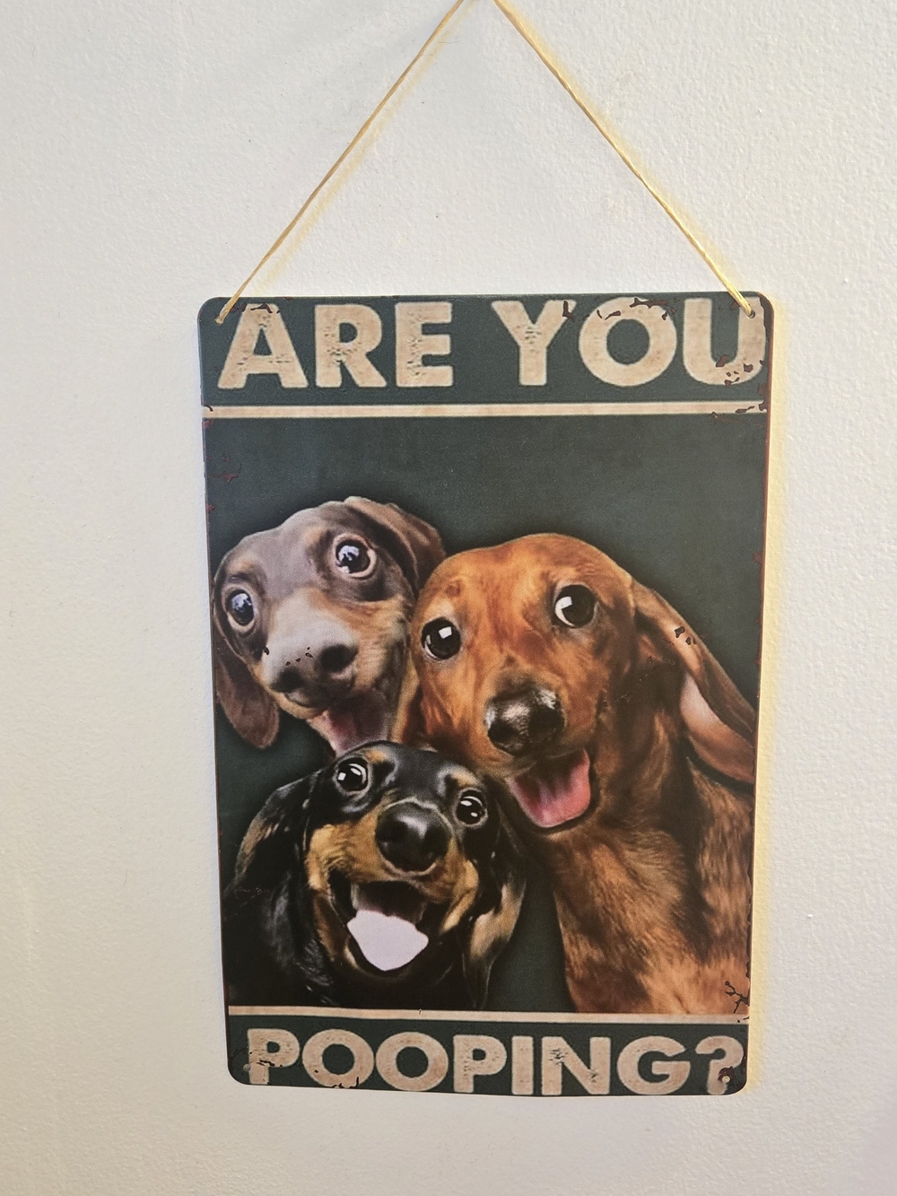 Metal Are You Pooping? Dachshund Wall Sign - BATHROON DECOR